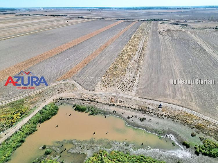 Teren agricol, 5HA, comasat, drum acces, Cateasca - 8