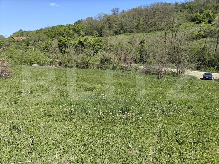 Teren intravilan cu priveliște panoramică în Curteni!