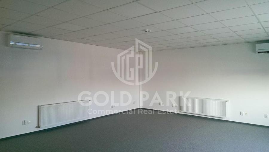 Depozit/Hala-In Park Industrial- Zona Someseni-2900 mp