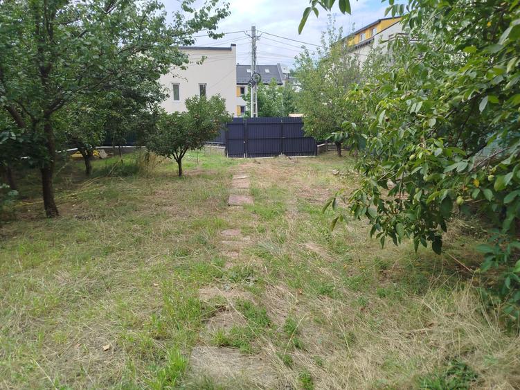 Vila Rediu cod 156955