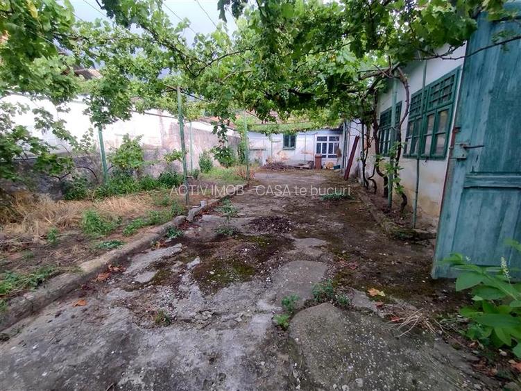 Socol | Casa 7 Camere | Parter + Pod | 546MP Teren - 13