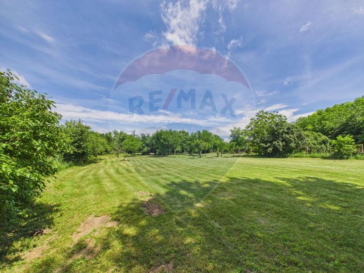 Vila cu Gradina generoasa - Oaza de relaxare in Gruiu