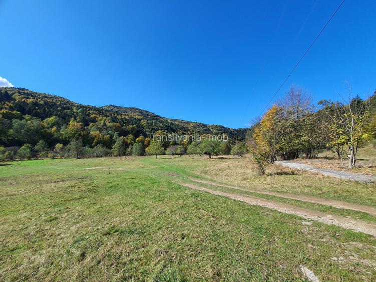 Teren 18.800 mp Săcele – Brădet | Acces DN1A | Deschidere 250 ml