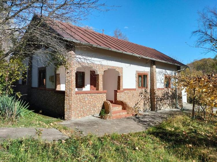 Iedera, Cricovul Dulce, casa de vanzare 90mp, teren 2450mp