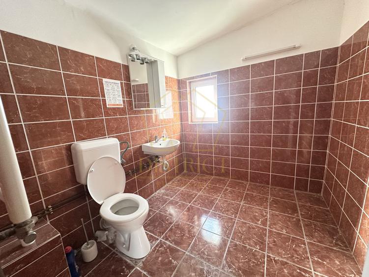Spatiu Comercial SAD vad bun I Braytim