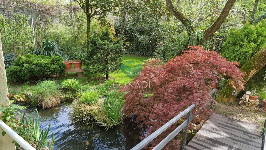 Vila teren 500 mp | Titeica – ideal sediu firma | langa Parcul Verdi - 18