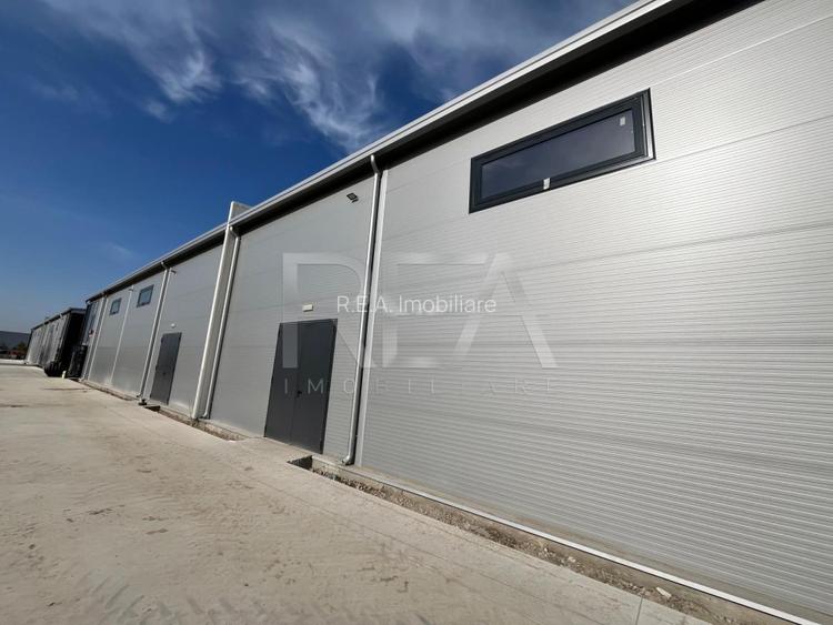 Hale depozitare/productie deschidere la Centura\Chitila - 12