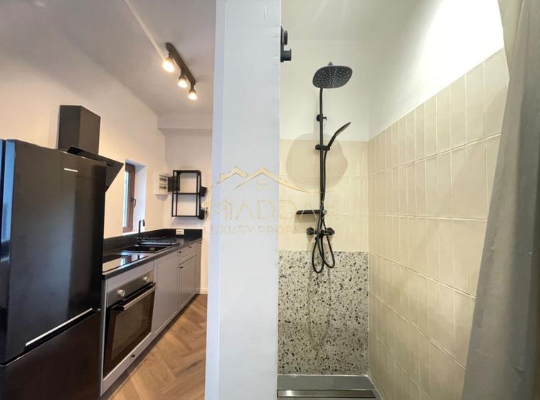 Garsoniera Premium in Vila interbelica**Boxa+Mansarda+Curte/R. Beller/DOROBANTI