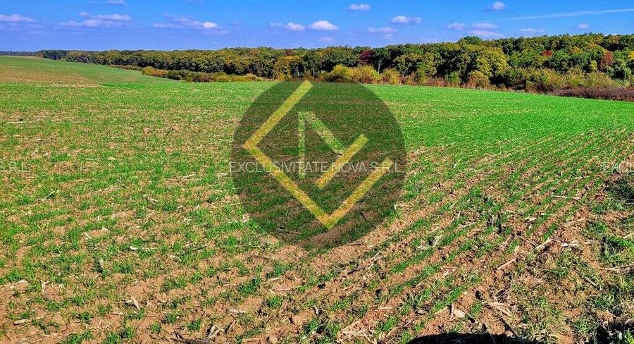 Teren 9Ha -> 16Ha Ha Intravilan , Exit A3 Snagov Ghermanesti Bucuresti-Ploiesti - 18