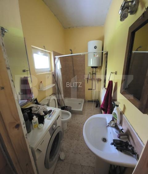 Casa 3 camere, 100 mp, teren, 2000 mp, zona Vest - 3