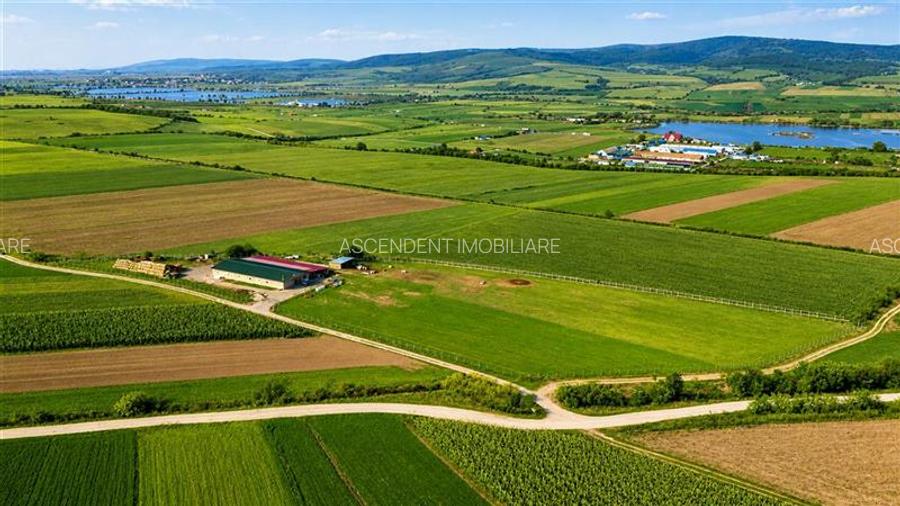 FILM! 18.000 mp, extravilan, agricol+ constructii:ferma,investitii agricole, Rot - 5