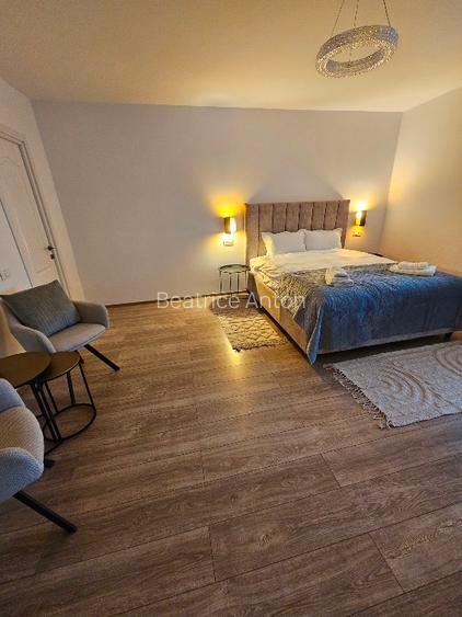 Doua  apartamente si o garsoniera, Ultracentral, Oportunitate Investiție  - 10