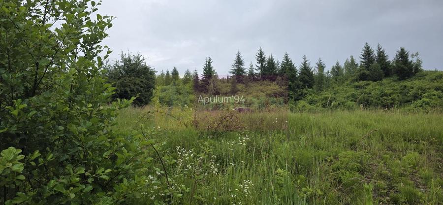 Teren intravilan 4000 mp in Breaza, Nistoresti - 3