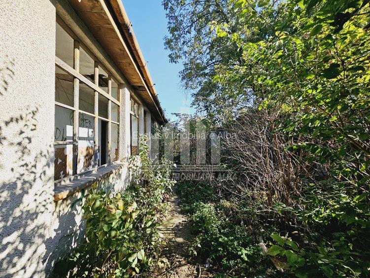 Teren intravilan | De vanzare | 2800 mp | 23 ml deschidere | Partos - 3
