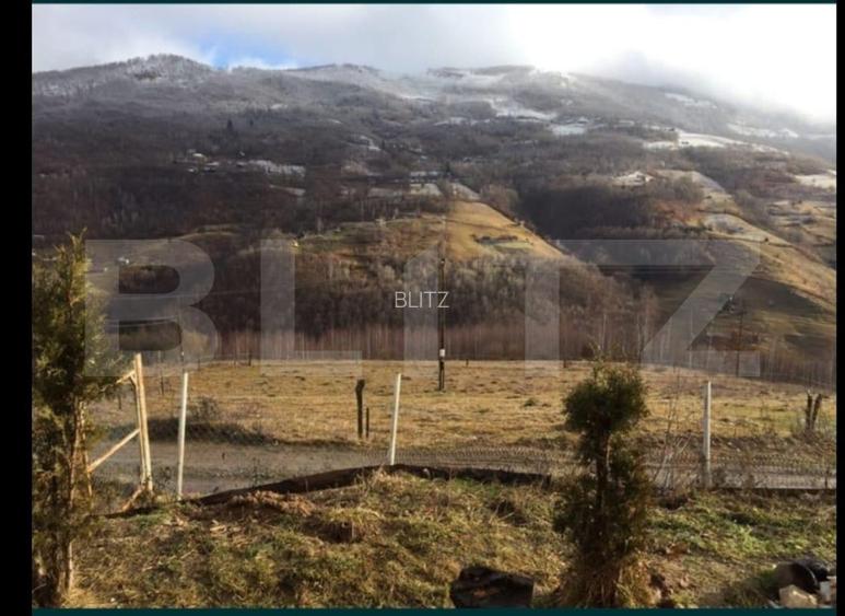 Casa cu teren de 2330 mp, anexa de 15 mp, zona Muntele Rece - 4