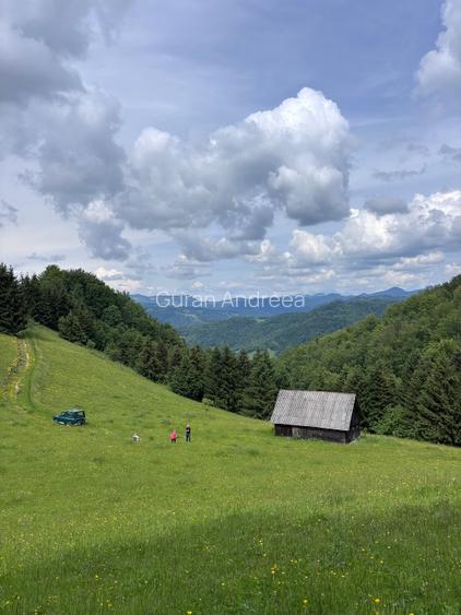 Vând Poiană în mijlocul pădurii, Transapuseana - 3