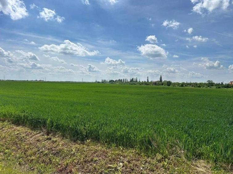 Moara Vlasiei - zona industriala, 17.000 mp