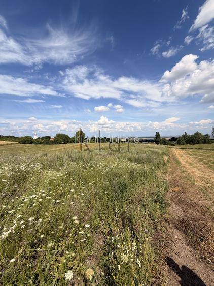 Teren 2900 m2 in Aiton ideal pentru investitie - 7