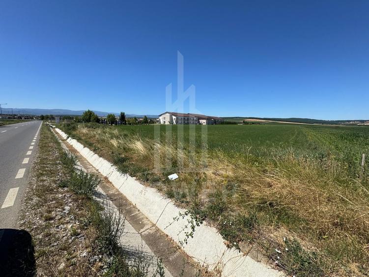 🌿 Teren 10.000 mp, Șura Mică – Ocna Sibiului | Investiție, COMISION 0%