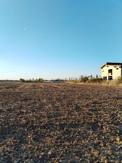 Ciolpani, spre Izvorani - COR, vanzare teren 5000mp.