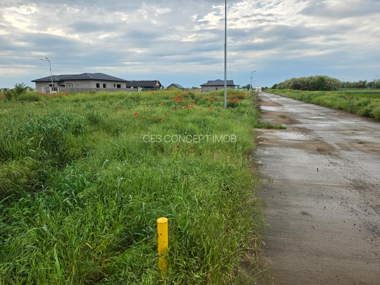 Loturi casa Frumusani | 529 mp - 1.205 mp | Gaz + curent | 15 min Bucuresti | 0% - 3