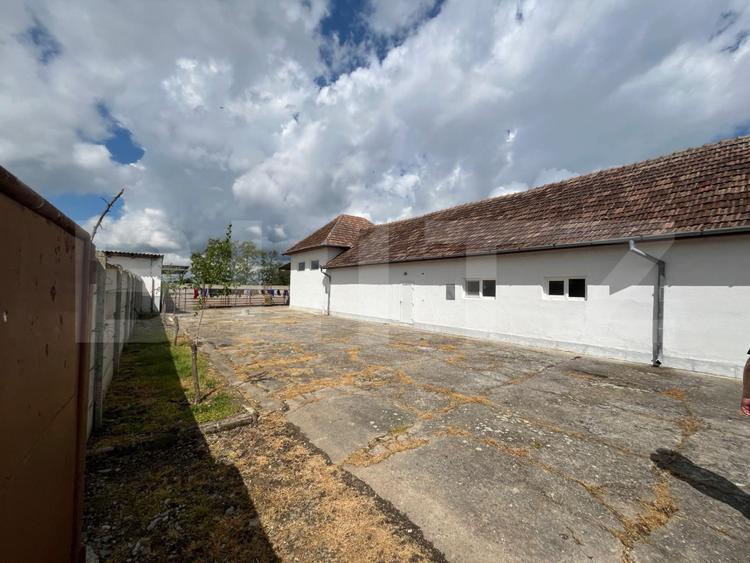 Ferma de bovine - oportunitate pentru investitori sau fermieri profesionisti