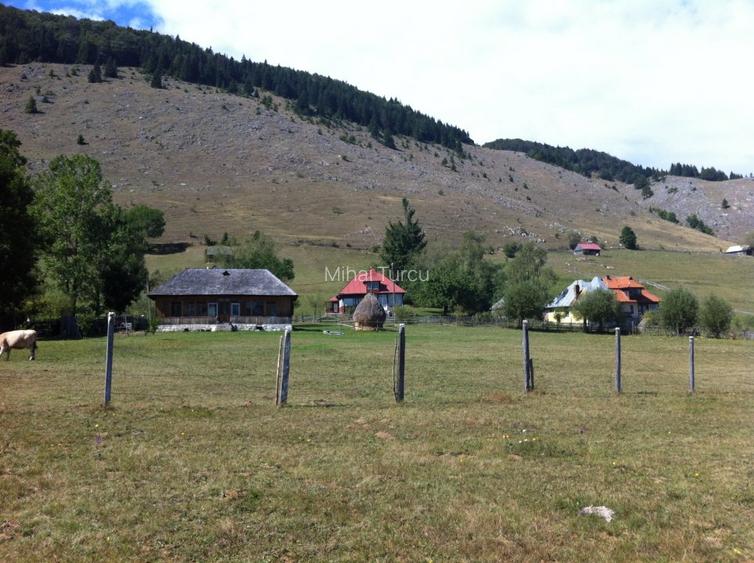 Teren superb pentru construcții de vânzare în Șirnea, Jud. Brașov - 6