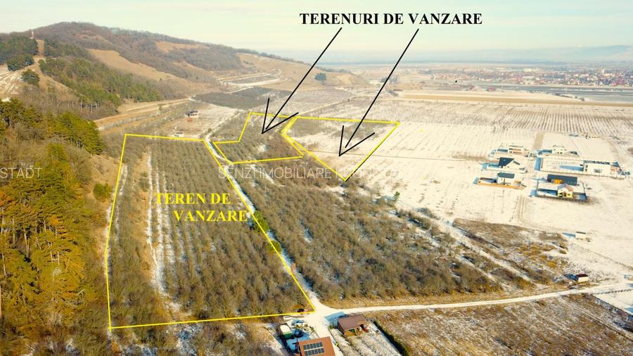 Terenuri in Livada Noua Sanpetru langa Dealul Lempes - 2
