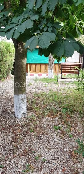 Vanzare 3 case moderne + 3 anexe si 2000 mp teren gradina, pomi in Tuzla la mare - 26