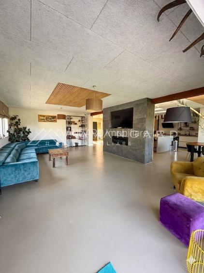 COMISION 0% | DOMENIU PREMIUM CU 11.200 MP TEREN | PISCINA | CORUSU - 8