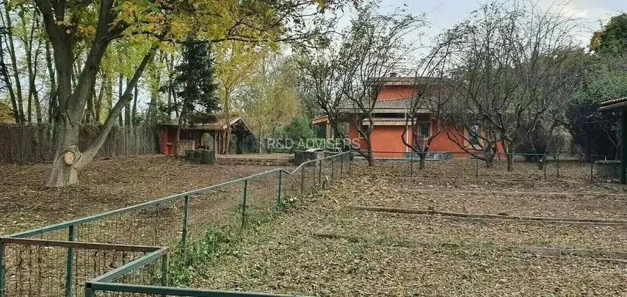 Vilă 380 mp cu deschidere la Lacul Snagov | 4.700 mp teren | Piscină - 11