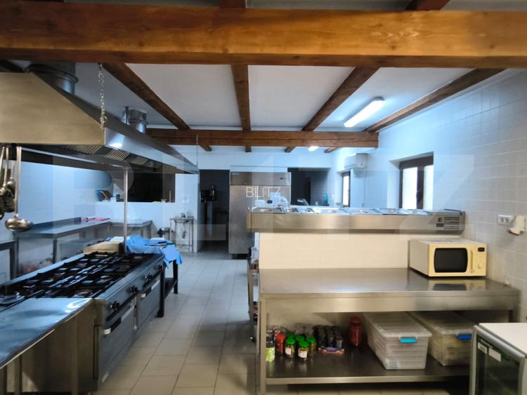 Proprietate multifuncțională, 1.850 mp utili, 23.750 mp teren, zona Brestei - 11