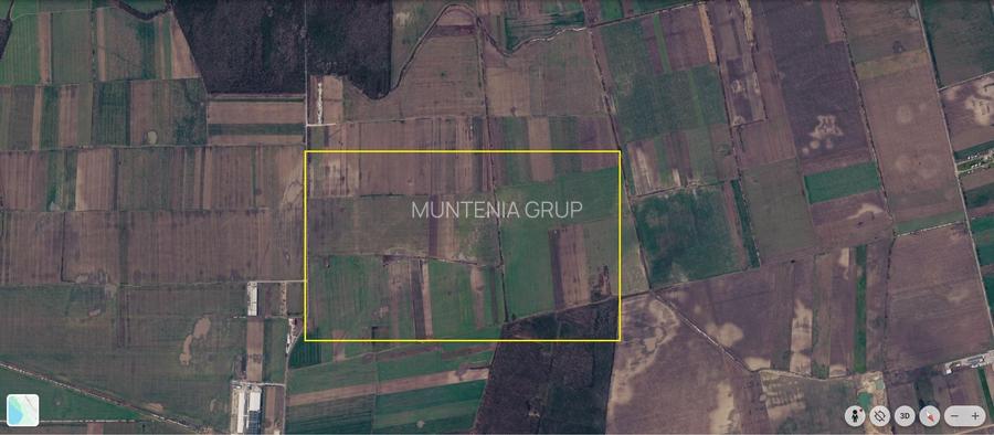 Afumati - Tarla 9, teren agricol in suprafata de 9.200 mp. - 10