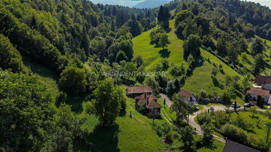 FILM! Proprietate autentica, Bran-Simon, 4.300 mp teren, casa traditionala + ane - 55