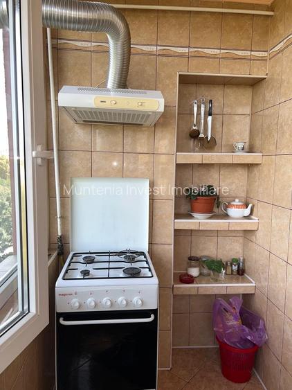 Apartament 2 camere Eremia Grigorescu,mobilat complet - 7