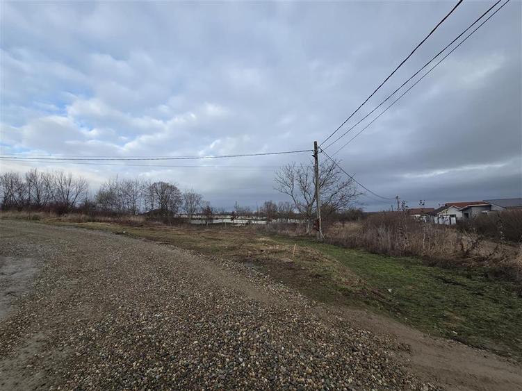 Teren intravilan,dublu front,Paleu,Oradea,Bihor
