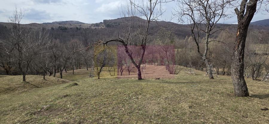 Teren intravilan 2200 mp de vanzare in Valea Doftanei