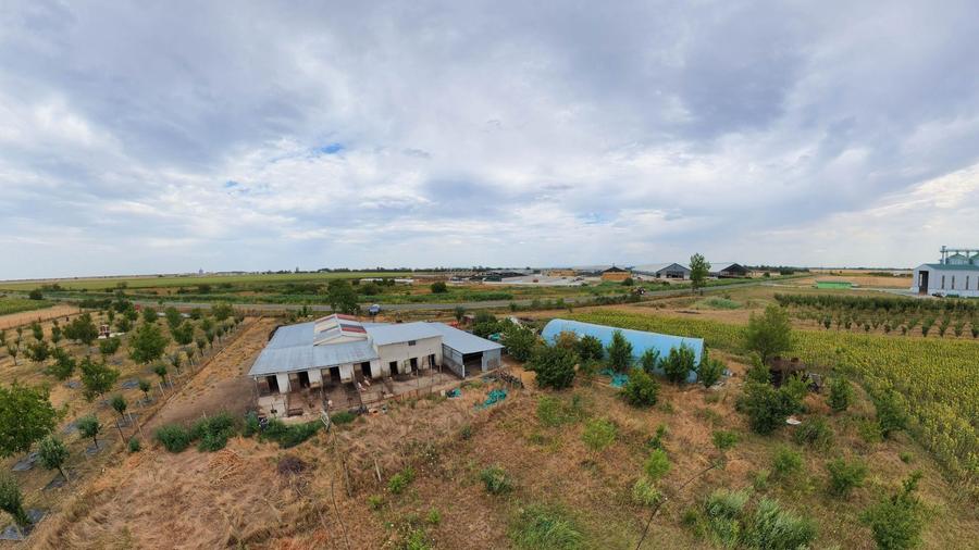 Livadă de 3,6 hectare în Iratoșu – Oportunitate