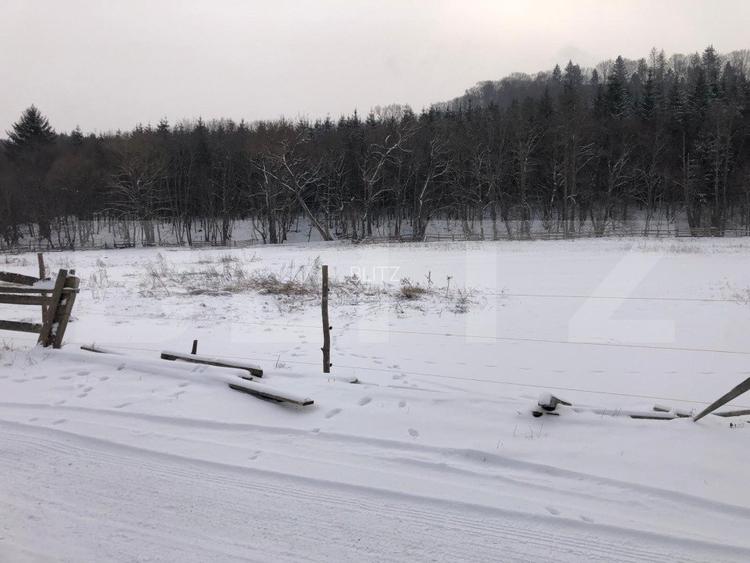 Teren intravilan de vânzare, 92.545 mp, zona Geamăna, Codlea - 8