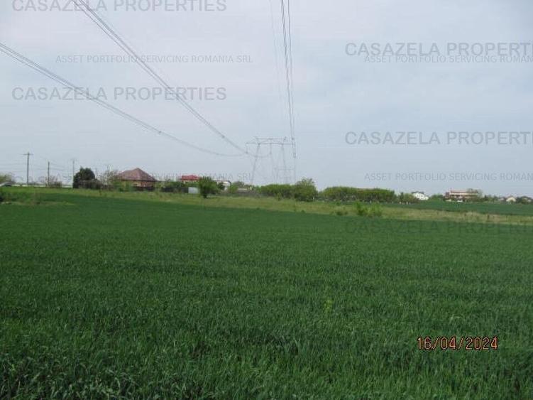 Teren extravilan, com. Frumusani, Calarasi