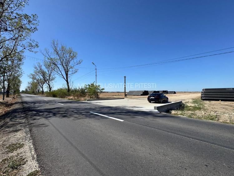 Teren extravilan de vânzare – Căteasca, Argeș | 27.201 mp | Deschidere 58,55 m - 2