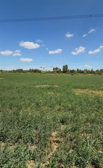 Vanzare teren intravilan 5000 mp Drumul Lunca Cetatii - Splaiul Unirii