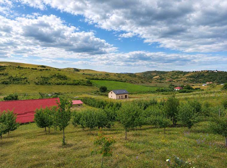 De vânzare Casă de vacanță cu teren de 4.453 mp | Cojocna