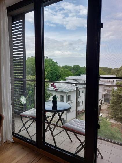 Apartament Parc Kiseleff // Piata Victoriei