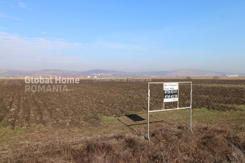 Teren 25.000 Mp-DN 15 Autostrada Transilvania - Mures - 7