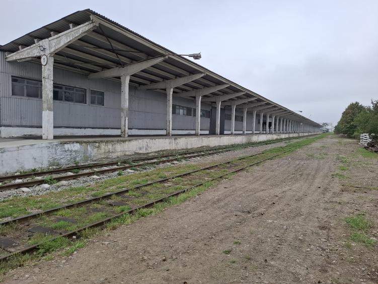 Hala de vanzare cu acces la cale ferata – Dornesti, Suceava