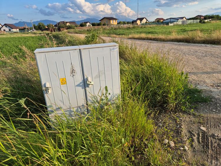 Teren 10.000 mp str. Lalelelor, Bod, Brasov pentru case