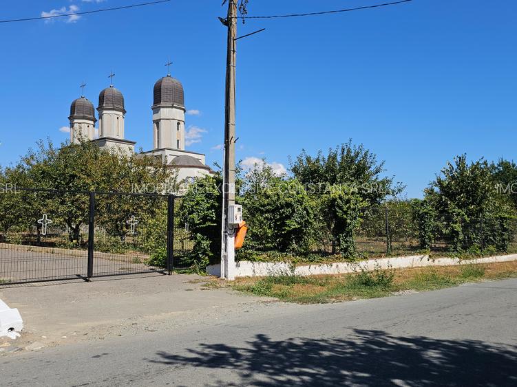 Teren Extravilan 10000 Mp Sibioara Constanta - 8