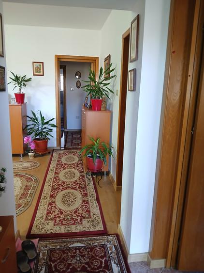 Voluntari  Galata  Vila   individuala  P+E/M  Vanzare  sau Schimb