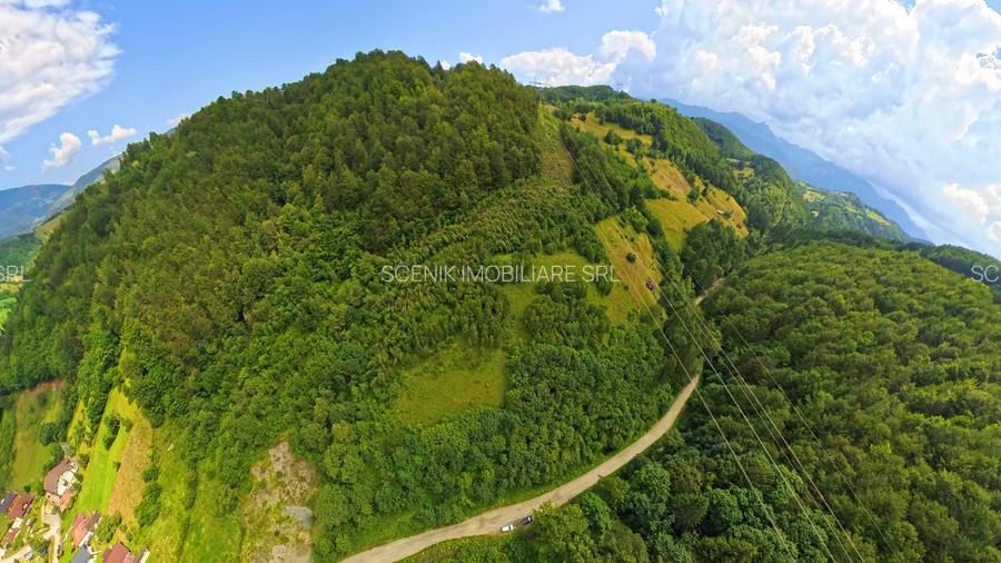 Investitie Smart in Moieciu, 3.1 ha, Panoramă 360 Bucegi - Piatra Craiului - 11